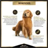 ProPlan Active Mind Raza Mediana/Grande 3Kg, foto 2