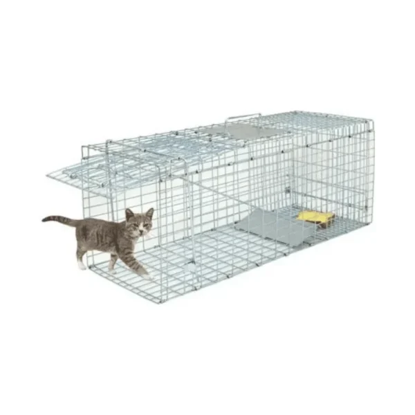 Trampa Para Atrapar Gatos
