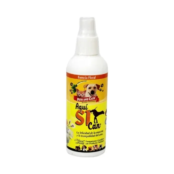 Aqui Si Can Natural Freshly x240Ml