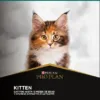 ProPlan kitten 3kg, foto 2