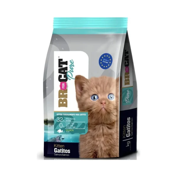 BR For Cat Gatitos Salmón 1kg