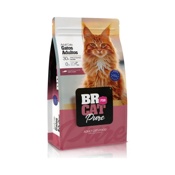 Br For Cat Adulto Salmon x10 kg