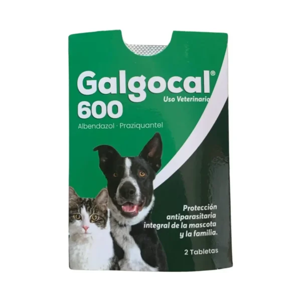 Galgocal 600 x2 Tabletas